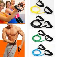 【CW】 Pull Rope Suspension Gymnastic Resistance Bands Sling Trainer Expander Household Band