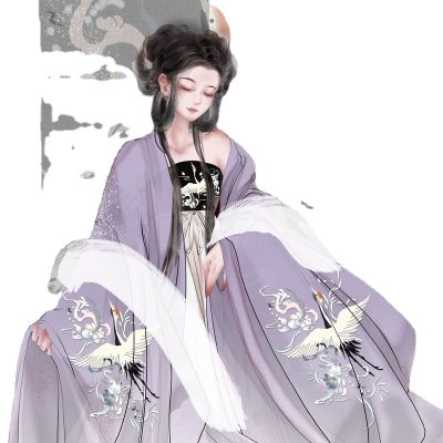 Tang Made Chee Skirt Hanfu One Piece Fairy Embroidered Chee Skirt Suit