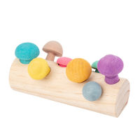 Wooden Rainbow Blocks Mushroom Picking Game Educational Montessori Wooden Baby Toys Developmental Shape Matching Assembly Grasp