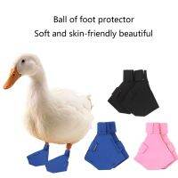 Lightweight Pet Shoes Portable Duck Booties Daily Walking Gooses Booties Shoes Casual Fashion Non-slip Duck Shoes