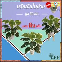 (( ร้านแนะนำ !!! )) ต้นกวักเงินใบด่าง สูง 70 ซม. ต้นไม้ปลอมตกแต่งบ้าน Leeartplants (๑) flashsale ลดกระหน่ำ