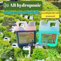 ปุ๋ยไฮโดรโปนิกส์ ปุ๋ยAB ปุ๋ยน้ำ ปุ๋ยผักสลัด สำหรับปลูกผัก Hydroponics ขนาด1000ML New สูตรเข้มข้น