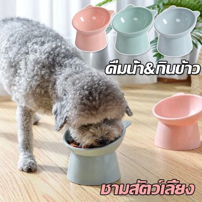 BHQ PET COD ชามอาหารสัตว์ ทรงเอียง ชามอาหารแมว ชามอาหารสุนัข ชามสัตว์เลี้ยง อุปกรณ์ให้อาหารสัตว์ ขนาด