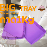 Freshyware แม่พิมพ์ซิลิโคน สี่เหลี่ยม ถาด 1Kg BIG TRAY คละสี พิมพ์วุ้น ถาดน้ำแข็ง พิมพ์ขนม พิมพ์สบู่ Silicone mold พิมพ์ขนมต่างๆ พิมพ์ทำขนมไทย ถาดอบ ถาดขนมชั้น วุ้นแฟนซี