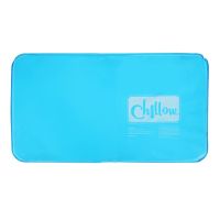 《Danqing family》สบายฤดู《Danqing family》family Cool Therapy ช่วย Sleeping Aid Pad Mat Muscle Relief Cooling Gel หมอน Ice Pad Massager Water Pillows