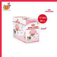 ?ส่งฟรี ส่งด่วนๆๆๆ[ยกกล่อง 12 ซอง] Royal Canin Kitten Pouch Loaf อาหารเปียกลูกแมว อายุ 4-12 เดือน จัดส่งฟรี ✨