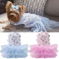 Spring Summer Dog Skirt Beautiful Peach Skirt Apparel for Pets Princess Style Puppy Lace Birthday Celebrate Dress Pretty Clothes Clothing Shoes Access