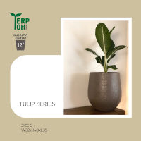 กระถางไฟเบอร์กลาสรุ่น TULIP SIZE S pre-order 5 วัน