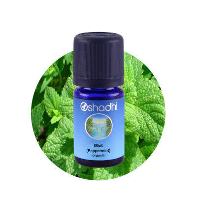 Oshadhi Mint (Peppermint) organic Essential Oil น้ำมันหอมระเหย (10 ml)