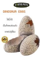 Exo Terra  DINOSAUR EGGS ที่ซ่อนตัวรูปไข่