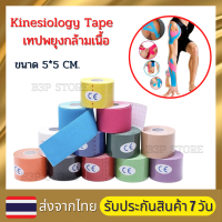 Kinesiology Tape เทปบำบัด เทปติดกล้ามเนื้อ เทปพยุงกล้ามเนื้อ