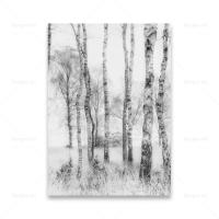 Modern Black &amp; White Snow Tree Forest Canvas Art: Elegant Wall Decor For Living Room - Perfect For Contemporary Home Styling On Lazada