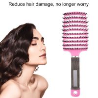 Hair Brush Brosse Demelante Women Female Hair Scalp Massage Comb Bristle Hairdressing Head Massage Brushie Comb