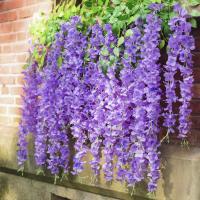 12Pcs Artificial Flowers Wisteria Silk Flower Hanging Arched String Reception Center Decoration Wall Party Wedding Decorat