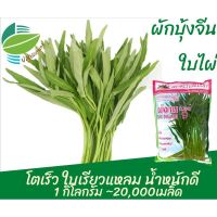 เมล็ด ผักบุ้งจีน ใบไผ่ ขนาด 1 กิโลกรัม (20,000 เมล็ด) โตเร็ว ใบเรียวแหลม น้ำหนักดี