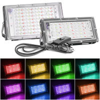 น้ำท่วมไฟ LED 50วัตต์100วัตต์ LED Floodlight RGB สีขาวสปอตไล AC220V LED โคมไฟถนนภูมิทัศน์แสงการควบคุมระยะไกลสหภาพยุโรปเสียบ