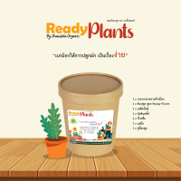 ⚡️ติดตามลดเพิ่ม⚡️ Ready Plants™ ชุดพร้อมปลูกผักสวนครัวและดอกไม้ ปลูกง่าย สะดวก พร้อมอุปกรณ์ปลูกครบครัน