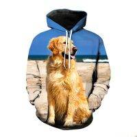 Man / Woman Fashion Casual Street Wear Long-sleeved Dog Pullover Sweatshirt Hoodies Golden Retriever 3D Printing Clothing Hooded