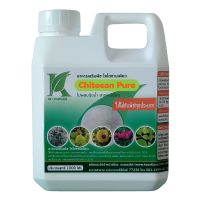 สุดคุ้ม โปรโมชั่น ไคโตซานเพียว ไคโตซานบริสุทธิ์ เหมาะสำหรับพืชทุกชนิด ราคาคุ้มค่า พรรณ ไม้ น้ำ พรรณ ไม้ ทุก ชนิด พรรณ ไม้ น้ำ สวยงาม พรรณ ไม้ มงคล