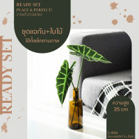 Homequarterbkk-Calming Set-Alocasia ชุด เซท เซ็ทพร้อมโชว์ ของตกแต่งบ้าน สุดคุ้ม ขวดแก้วสีชาทรงสอบ มาพร้อม ต้นไม้ประดิษฐ์ ราคาต่อ 1 ชุด