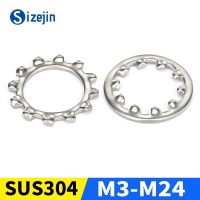 Pencuci Gigi Eksternal Pencuci Bergigi Internal Baja Tahan Karat 304 Di Luar Gasket Bintang Dalam M3/M4/M5/M6/M8/M10/M12-M20