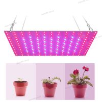 Power LED Plant Grow Light Lamp Kit Phytolamp For Flower 2835 Beads Growth Lighting Full Spectrum Indoor Hydroponics WB5TH