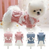 Dog Sweater Pet Cat Puppy Princess Dress Winter Warm Coat Classic Knit Clothes Dresses