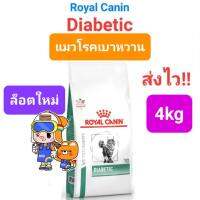 Royal Canin Diabetic Cat 4kg โรยัลคานิน แมวเบาหวาน โรคเบาหวาน ขนาด 4 กิโลกรัม