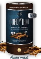 คอร์ดี้ไทย Cordy Thai อาหารเสริมสำหรับผู้หญิง บริการจัดส่งฟรี