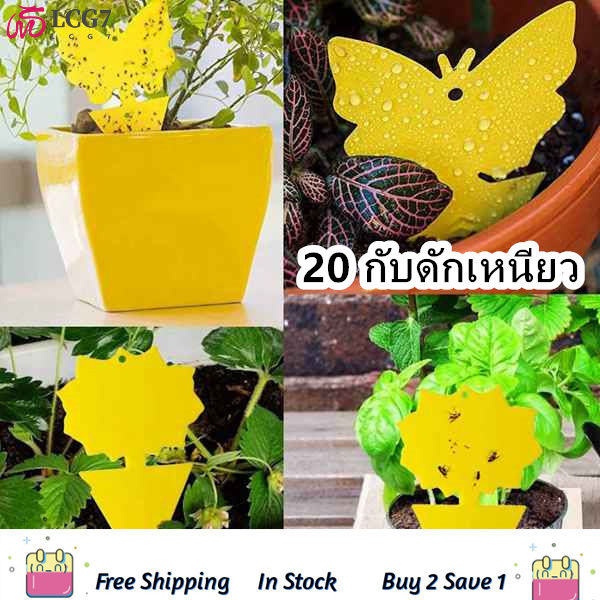 20pcs Sticky Trap,fruit Fly And Gnat Trap Yellow Sticky Bug Traps