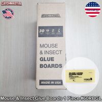 Catchmaster® Gluee Louee Mouse &amp; Insect Glue Boards 1 Piece #60RBGL กับดักหนู และแมลง แผ่นกาวดักหนู กาวดักหนู ขนาด 12 x 6