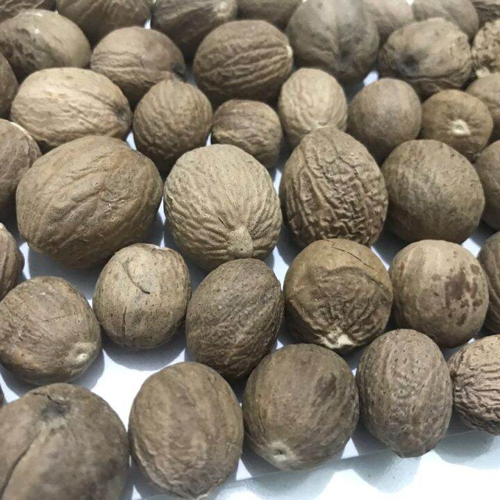 Biji Pala Bulat 100 Gram | Lazada Indonesia