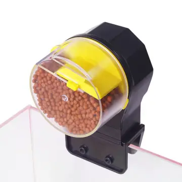 Best automatic turtle top feeder