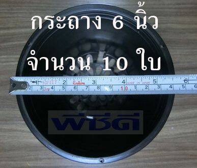 กระถาง-6-นิ้ว-10-ใบ-กระถางเพาะชำ-กระถางต้นไม้