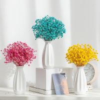 [COD] Small Vase Dried Flowers Gypsophila Hydroponic Radish Ornament Room Arrangement Decoration