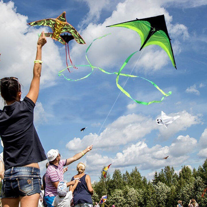 160cm-super-huge-kite-line-stunt-kids-kites-toys-kite-flying-long-tail-outdoor-fun-sports-educational-gifts-kites-for-s