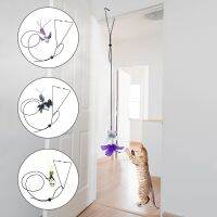 【CW】 Stick hey Hanging Door with Elastic Rope for Interactive Supplies