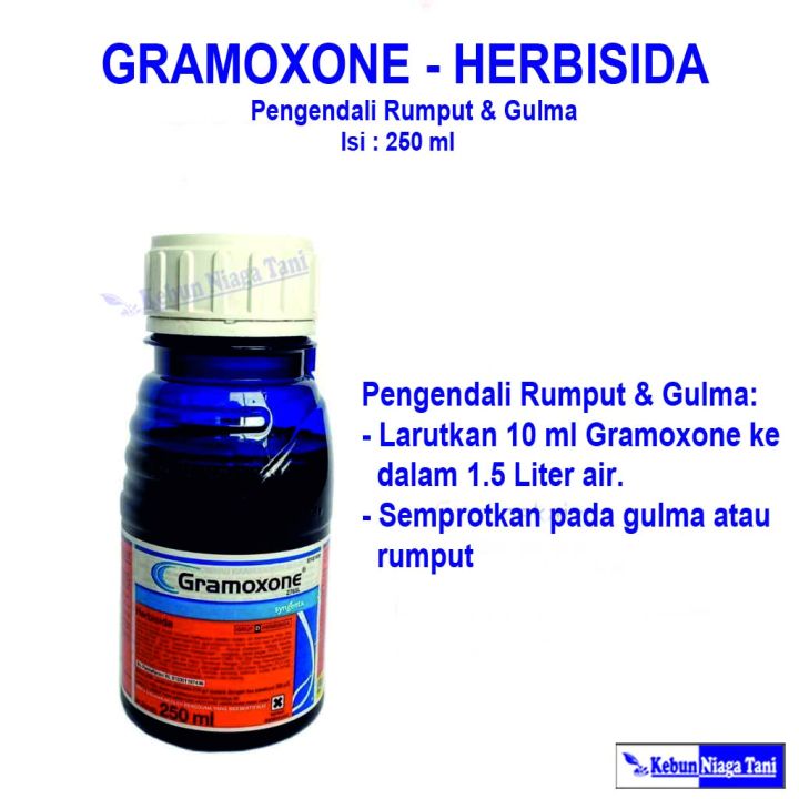 Herbisida Gramoxone 250 Ml Obat Pembasmi Rumput Dan Gulma Lazada