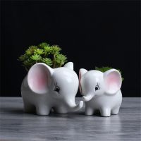 【CC】 Elephant Shaped Pot Succulent Cactus Vase Flowerpot Desktop Decoration