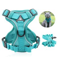 【CW】 Cat Harness Vest Adjustable Reflective Collars Cute Walking Lead Leash Set Harnesses Necklace For Small Dogs Cat Accessories