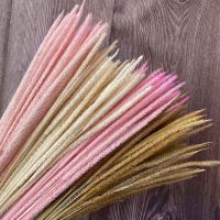 【cw】About 150PCS30~35CM Decorative Dried Natural Flowers Eternelle Hypericum Japonicum nch,Dry Goldenrod Small Pampas Grass ！