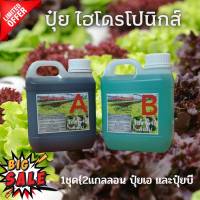 ปุ๋ยน้ำ AB ปุ๋ยไฮโดรโปรนิกส์ ขนาด 1 ลิตร 1000ml ใช้ปลูก ผักสลัด ผักไทย กินใบ