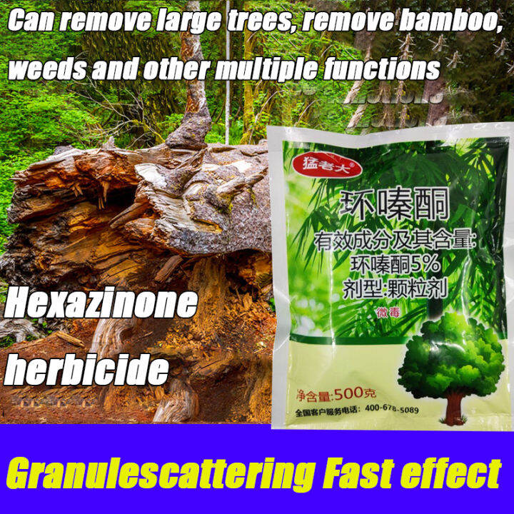 Hexazinone root removal 3 seconds to remove big trees kill tree and