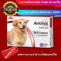 [[ส่งฟรี]] Antinol DOG 60 แคปซูล อาหารเสริม บำรุงข้อสุนัข ข้ออักเสบ 1 กล่องบรรจุ 60 เม็ด （60 ชิ้น）หมดอายุ 05/2024 แบบแบ่ง 1 แผง 30 แคปซูล