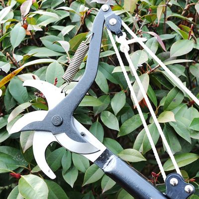 【LZ】 Double Headed  Gardening Scissors Flower Pruner Overhead Garden Shears Shears Strong Pruning Branches for Garden Tools