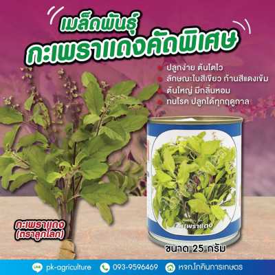 เมล็ดพันธุ์กะเพราแดงคัดพิเศษ (ตราลูกโลก)