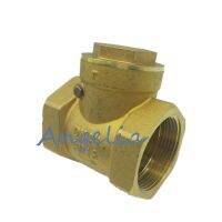 1-1/4 DN32 BSP Female Brass Swing Check Valve 232Psi Prevent Water Backflow