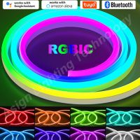 RGBIC LED Neon Strip 12V 96LEDs/M Remote/Bluetooth/WiFi Tuya APP Smart Control Waterproof RGB Chasing Led Strip Decor Lighting