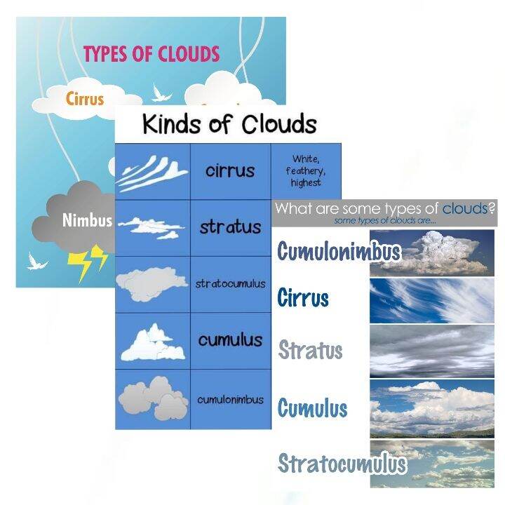 Types of Clouds Laminated Educational Charts and Diagrams for Kids and ...