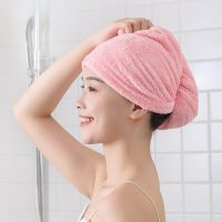 【CC】 Hair Drying Hat Twist Soft Coral Bibulous for Adults Textile Products